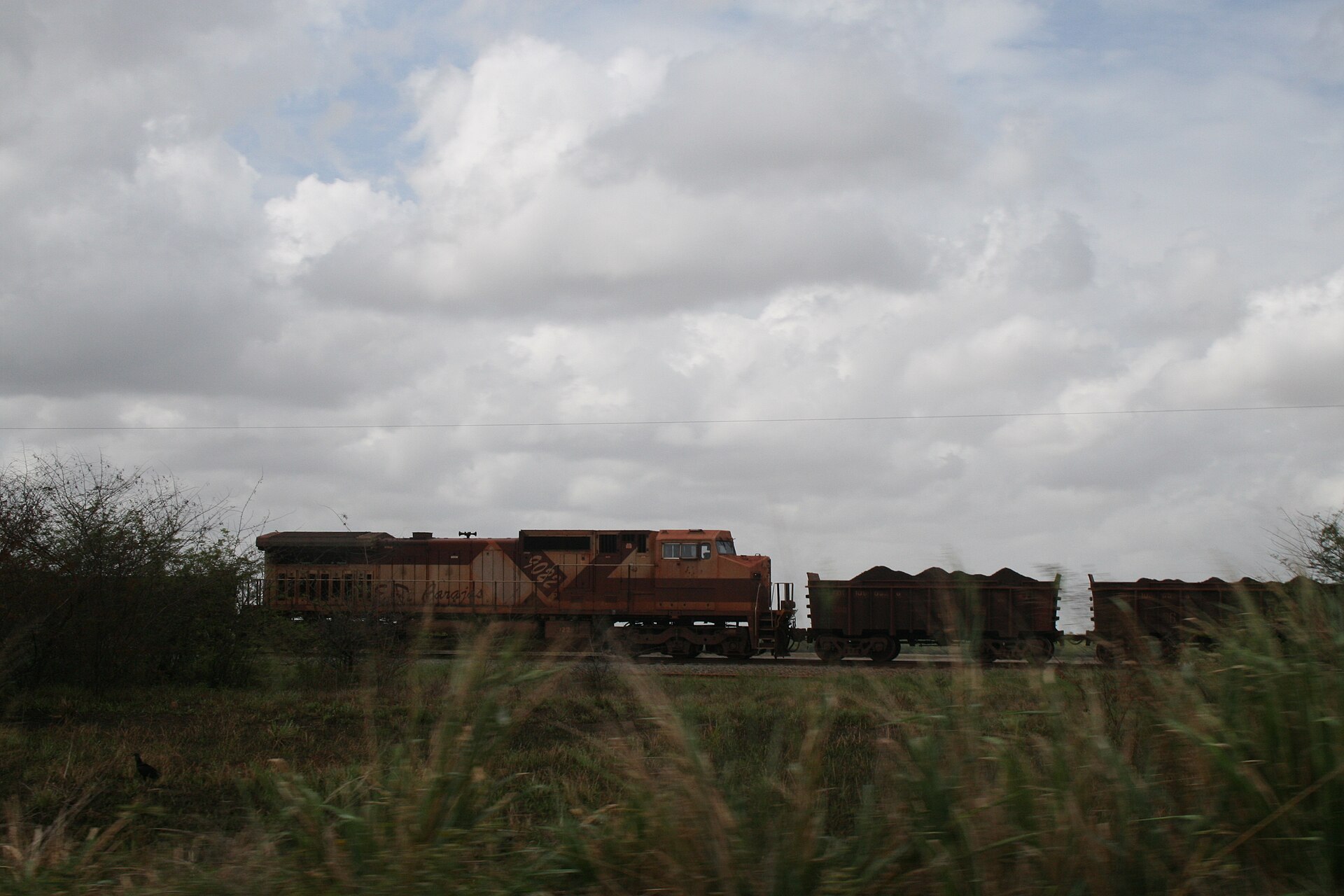Trem de carga com vagões carregados de minério na Estrada de Ferro Carajás, no Pará